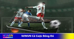 Các loại kèo WINVN cá cược bóng đá phổ biến