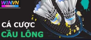 Bật mí những kinh nghiệm khi tham gia cá cược cầu lông