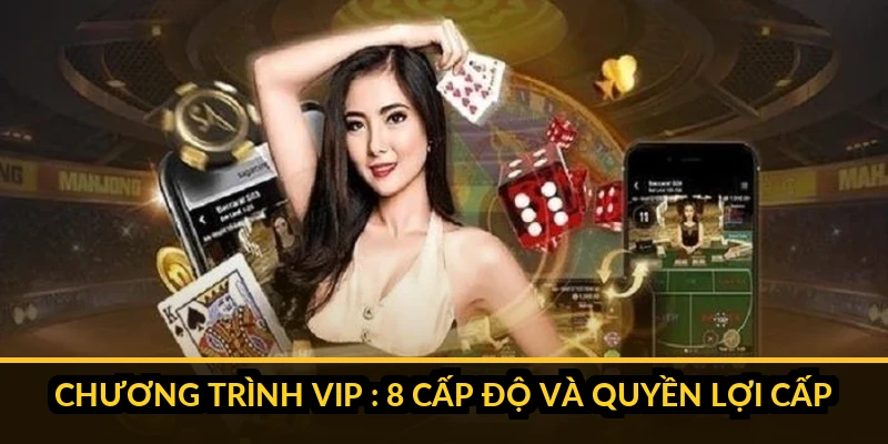 chương trình VIP WINVN với thanh tiến trình điểm và danh sách quyền lợi từng cấp